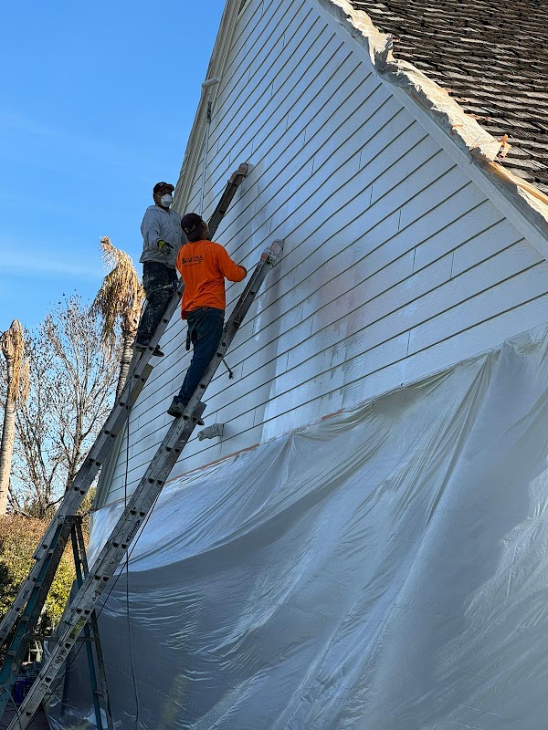 Domar Painting llc
