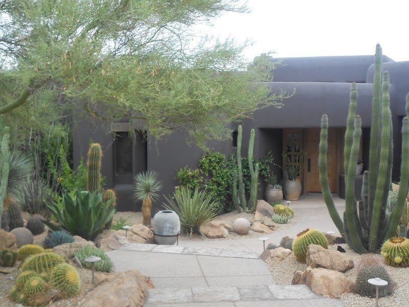 Desert Foothills Landscape