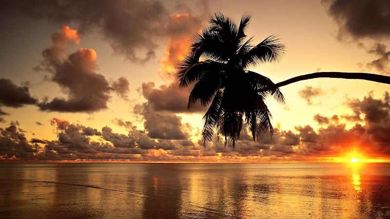 Aloha Handyman Service, LLC