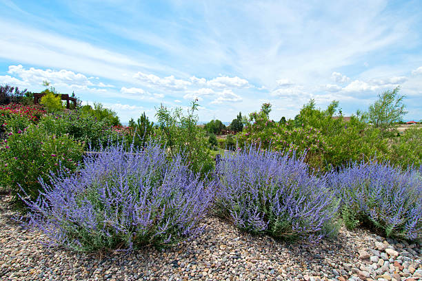 Green By Design - The Landscape Company