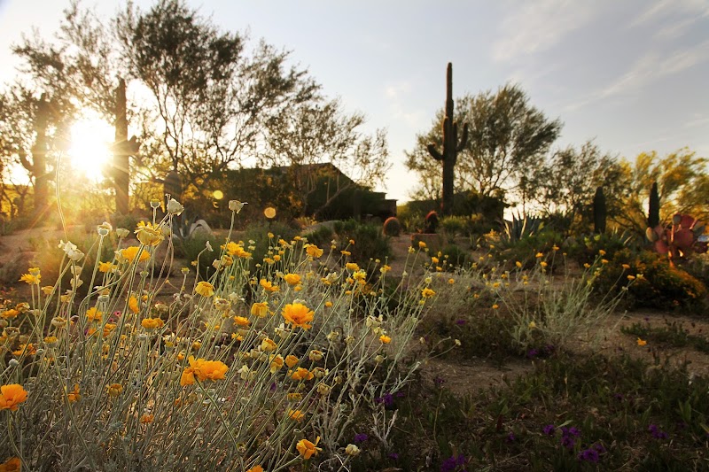 Gold Medal Landscape Management