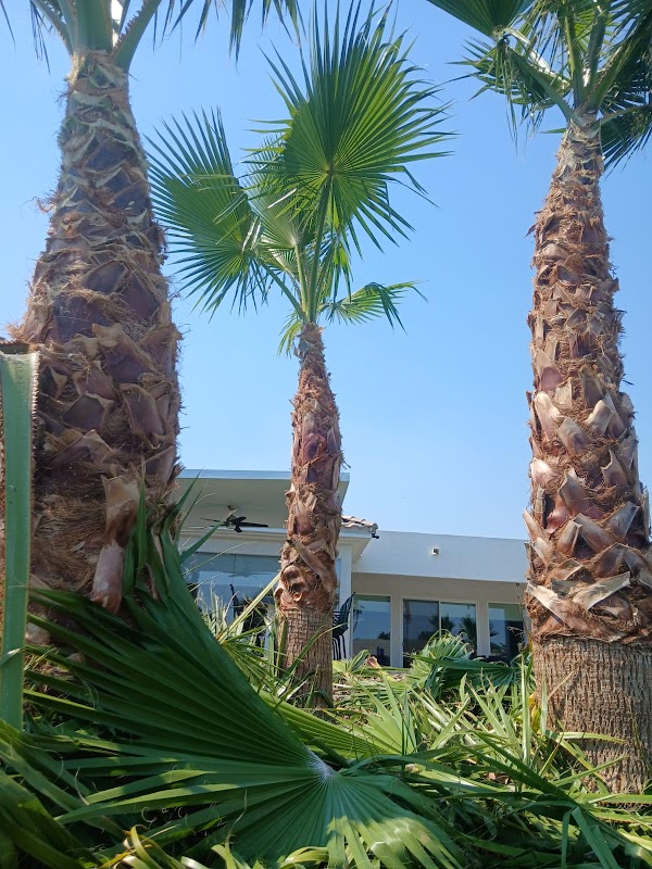P&F Arizona Cleaning Professional Landscaping Maintenance