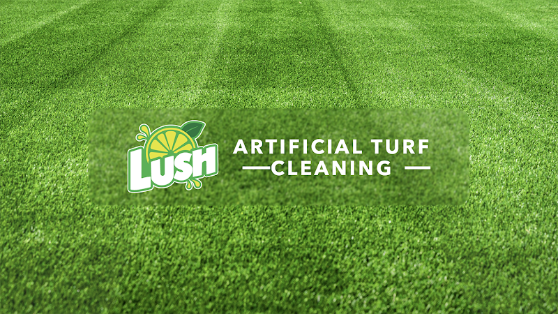 Lush Artificial Turf Cleaning