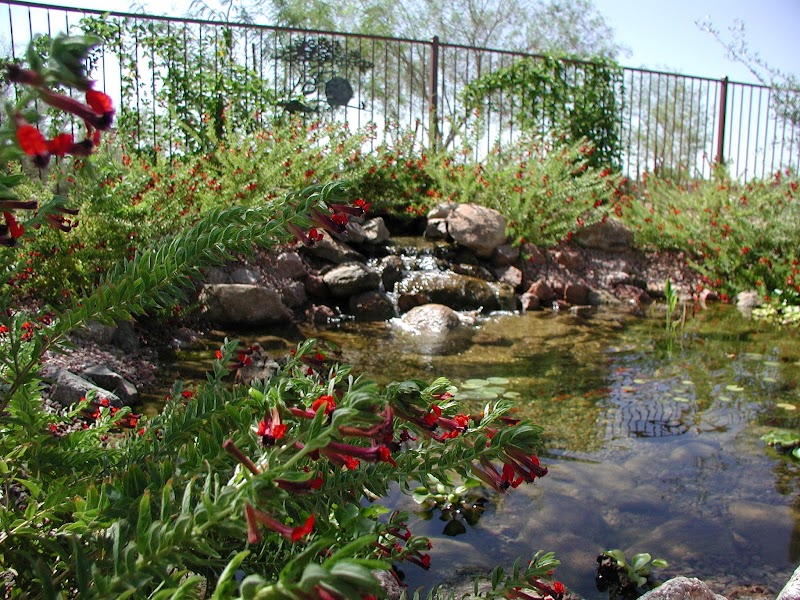 Arte Verde Landscape Design