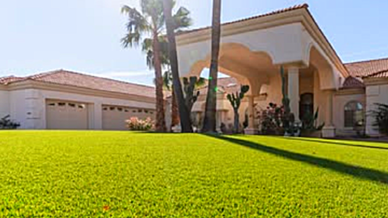 Turfli - Luxury Lawns and Greens LLC
