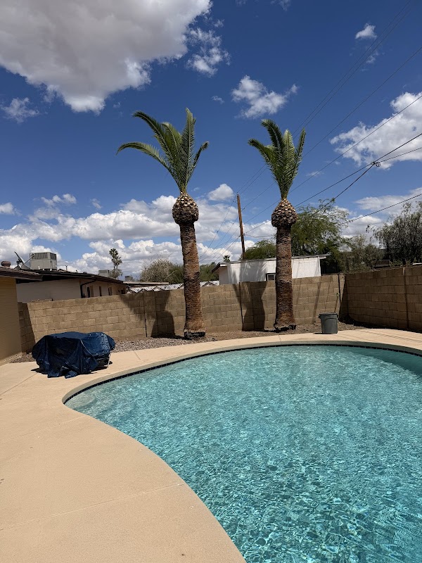 Lion Landscaping AZ LLC