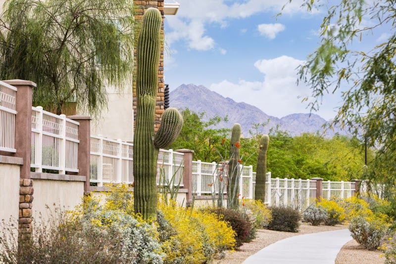 Sierra Sun Landscaping