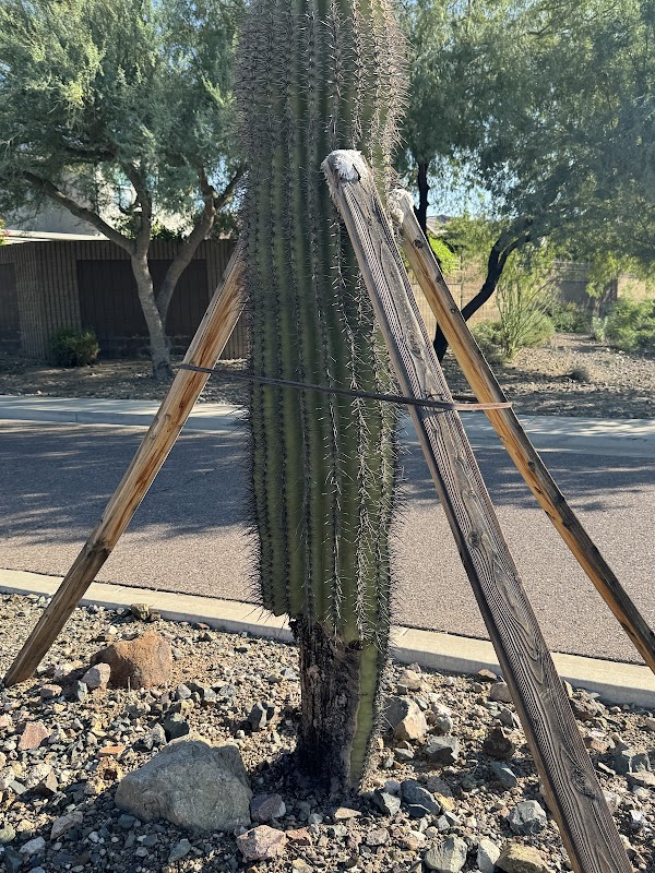 ProQual Landscaping
