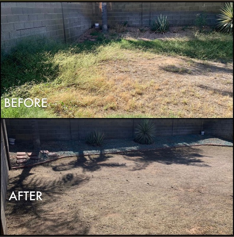 Albert's Landscaping Services