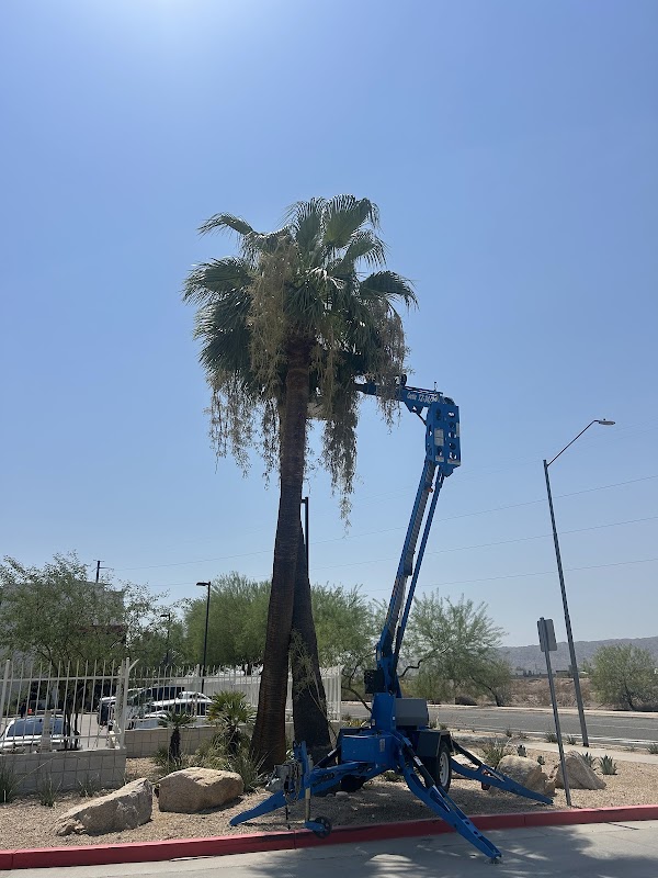 Apex Landscape Maintenance