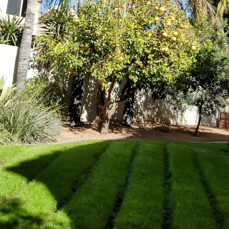 Tso You Need Landscaping LLC