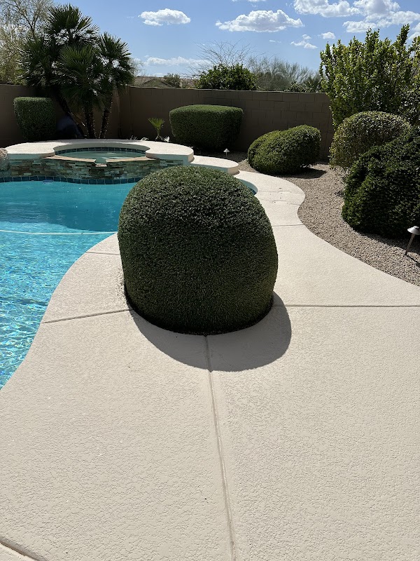 AYAM LAND : Landscaping & Lawn care
