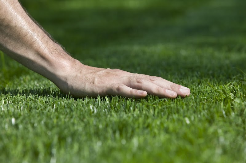 Sundial Landscaping Solutions LLC - Landscape Irrigation System, Landscape Paving, Landscaping Contractor, Landscape Paver