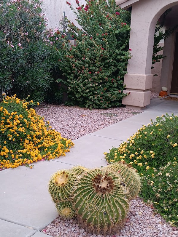 S&D landscaping y hardscape
