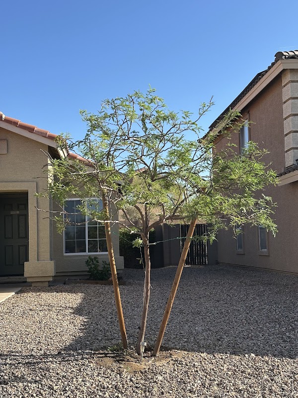 Alex Landscaping Services