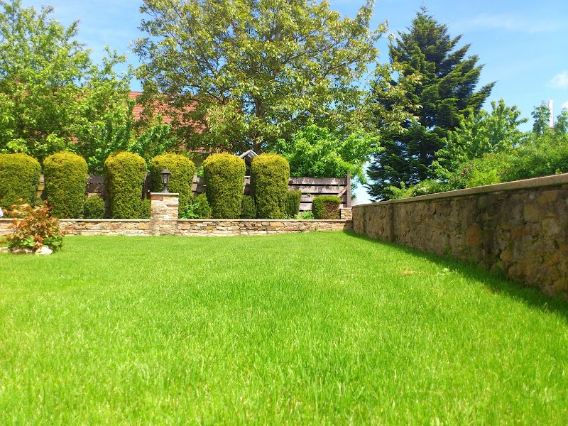Javier Romero Landscaping - Professional Landscaper