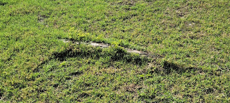 Sundance Landscape Maintenance, Inc.