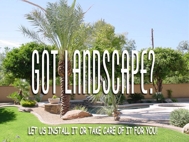 DT Landscape LLC