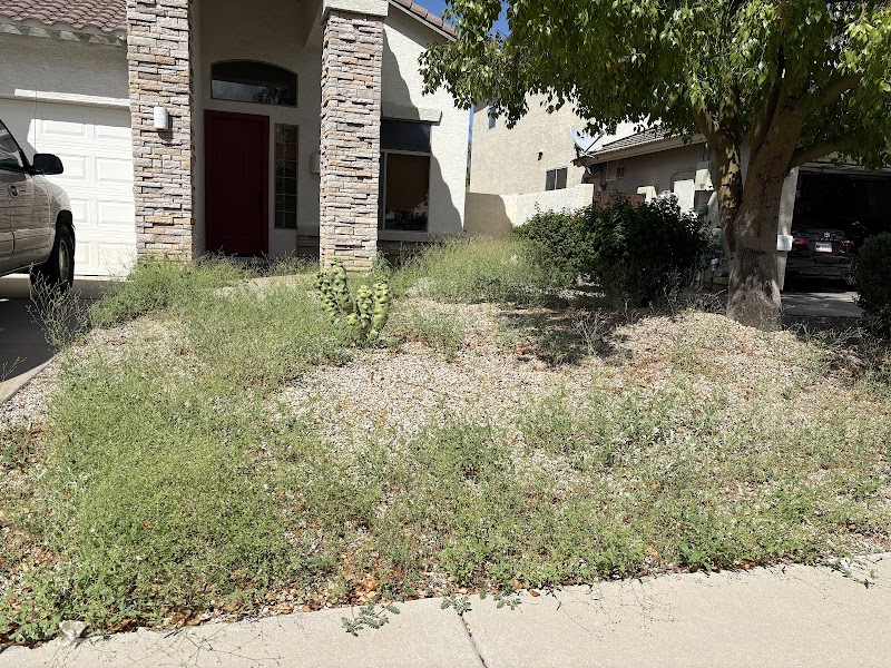 Lawn Maintenance Pros