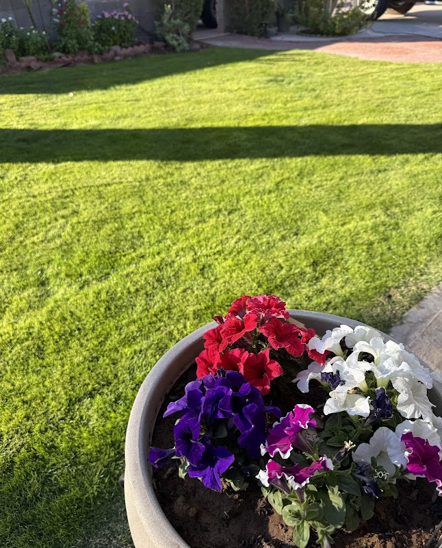 Miguel Vargas landscaping services