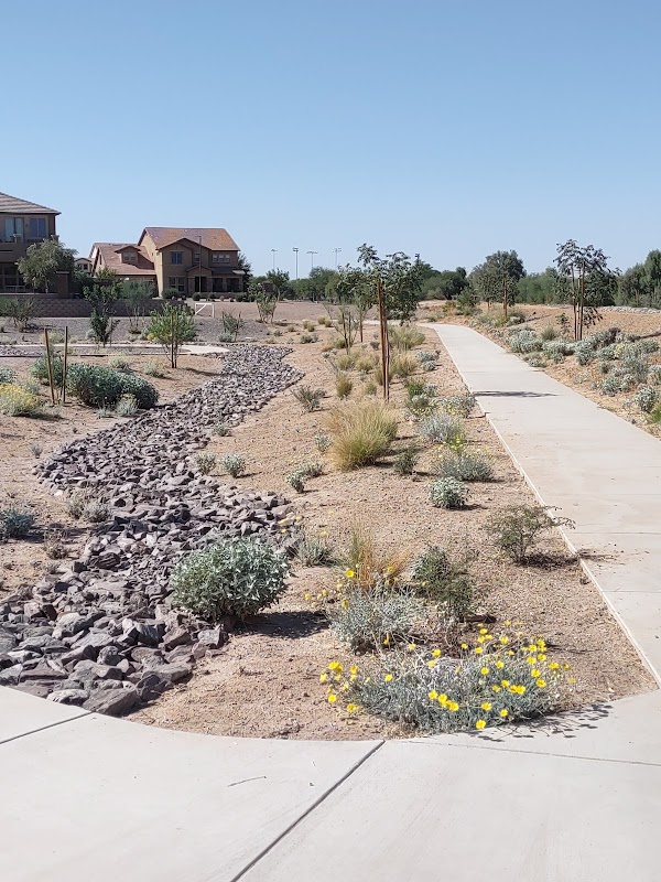 Four Peaks Landscape East Valley Yard