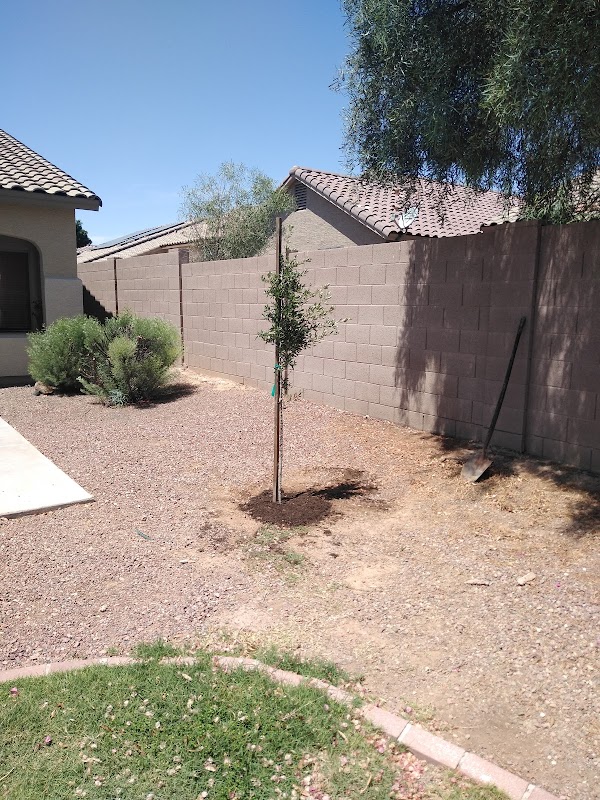 Valley of The Sun Landscaping