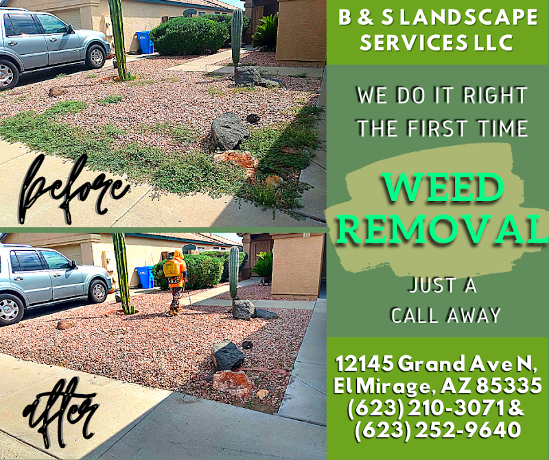 B&S Landscape Services LLC