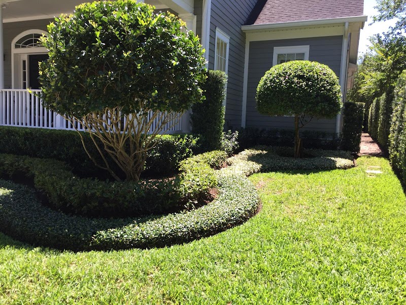 Enrique Landscaping