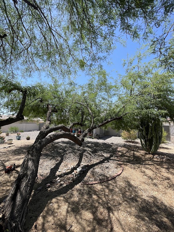 AG LANDSCAPE & TREE SERVICES LLC