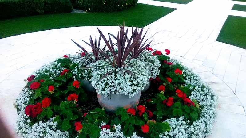 Ventura landscaping services,LLC