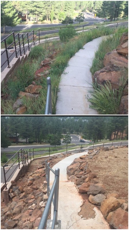 Landscaping