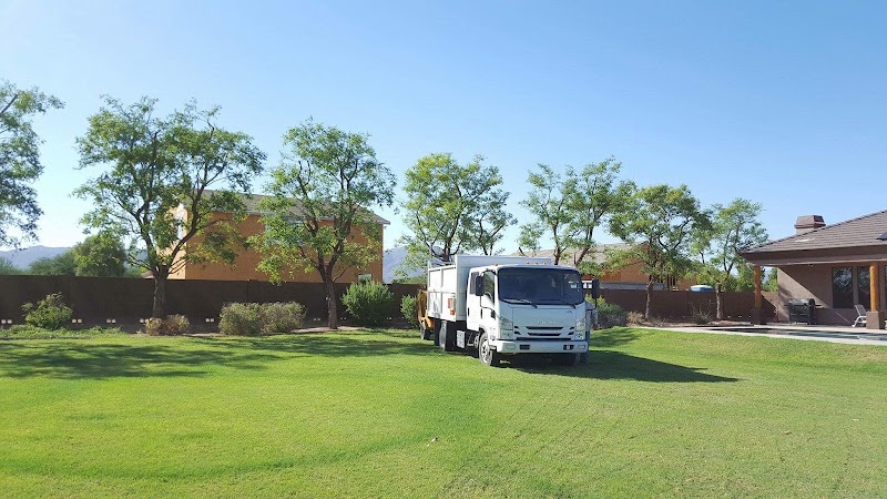 Vista Del Sol Landscape Llc