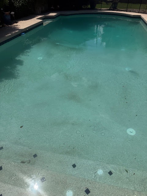 Shine Pools