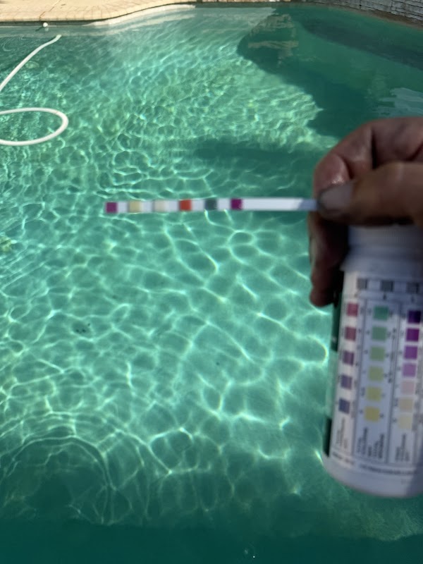 Blue Turtle Pool Service