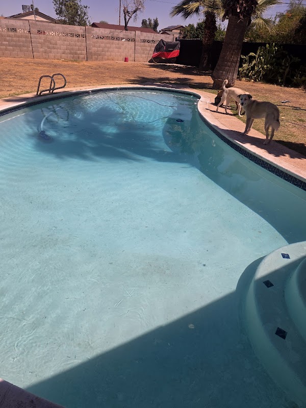 Bright Blue Pool Services, LLC