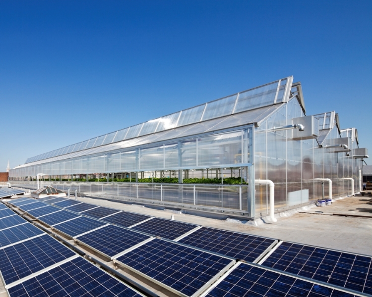 Canna Solar