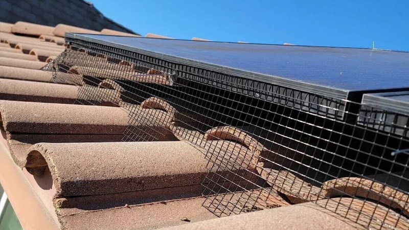 Cheetah Solar Panel Cleaning and Pigeon Proofing