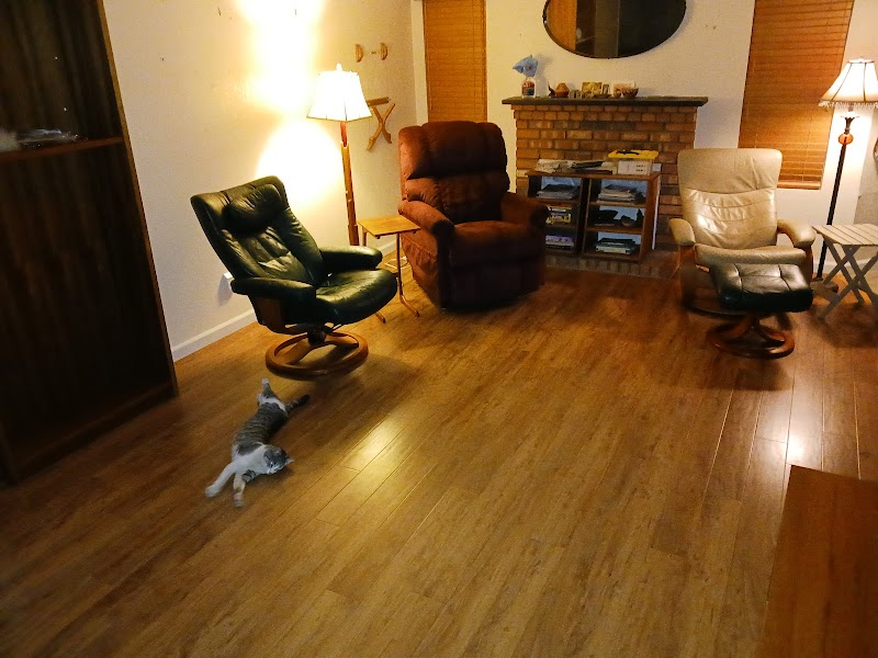 High Quality Floors