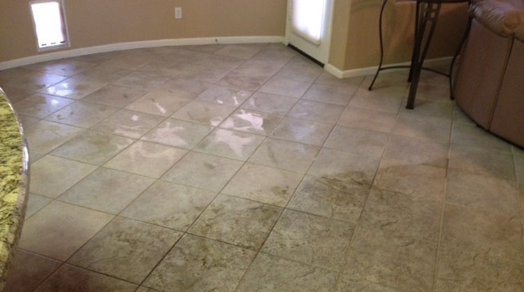 Superior Plus Total Floor Care